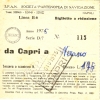 SPAN anno 1975 Capri-Nerano Biglietto ridotto a compilazione manuale