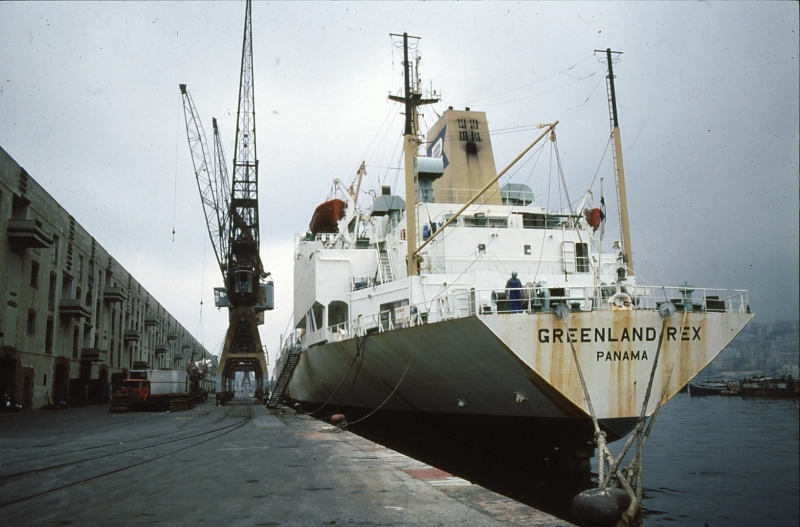 Greenland Rex