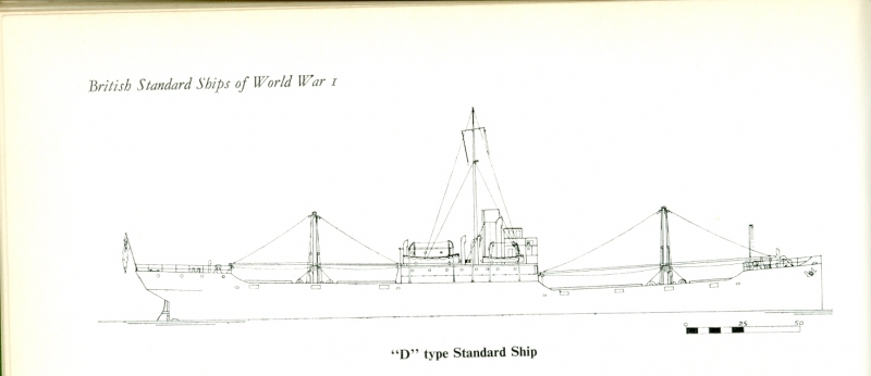 British Standard Ship WWI Type D