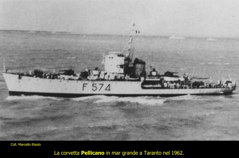 Pellicano F 574
