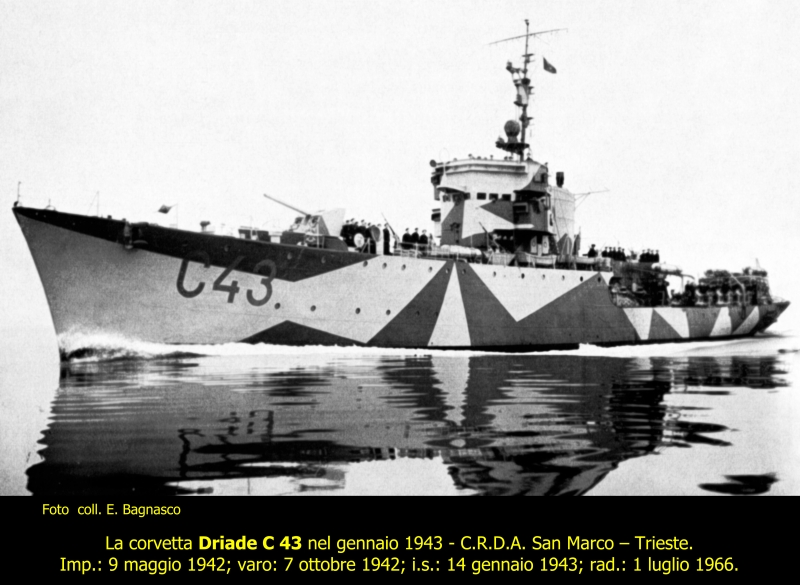 Driade C 43