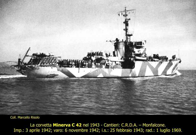 Minerva C 42