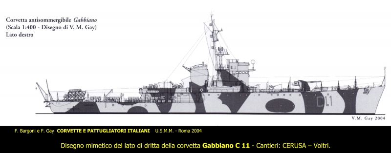 Gabbiano C 11