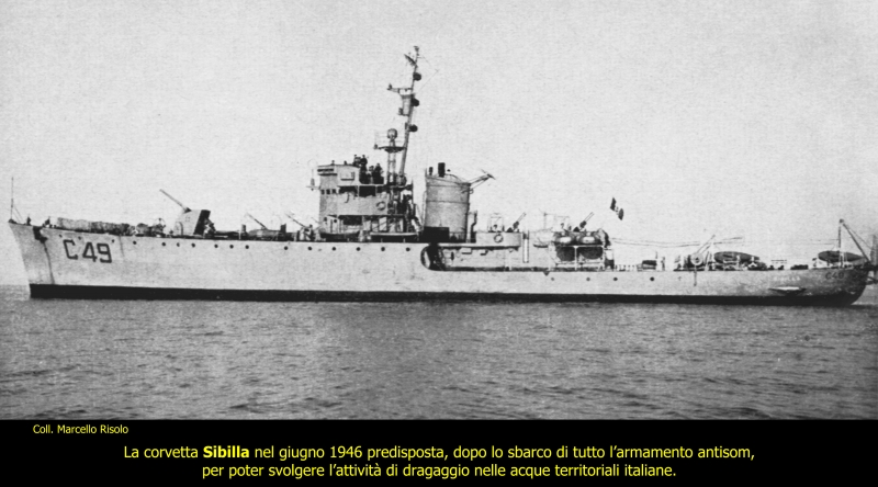Sibilla C 49