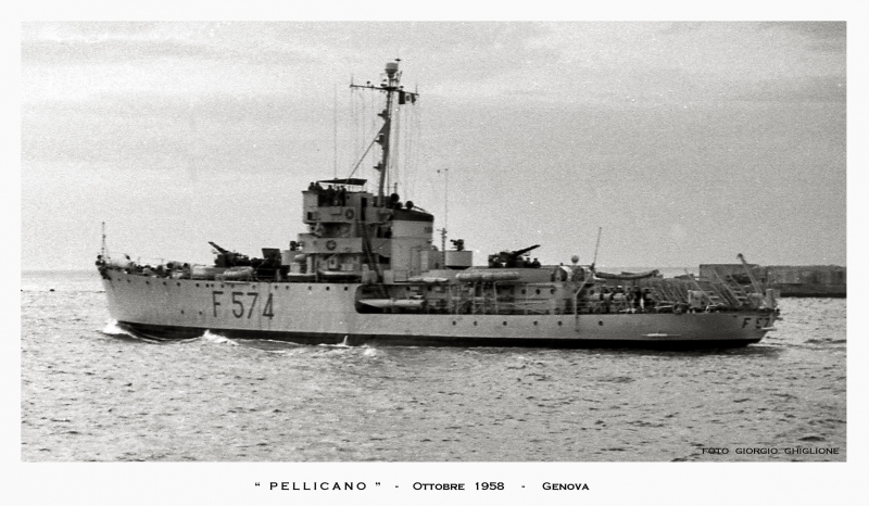 PELLICANO F 574