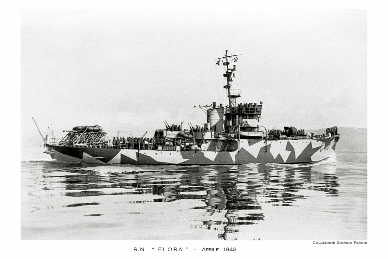 FLORA   C 46