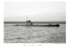 HMS TOTEM ( P 352 )