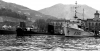 PROTEO  A 5310  e  HMS  RORQUAL  S 02