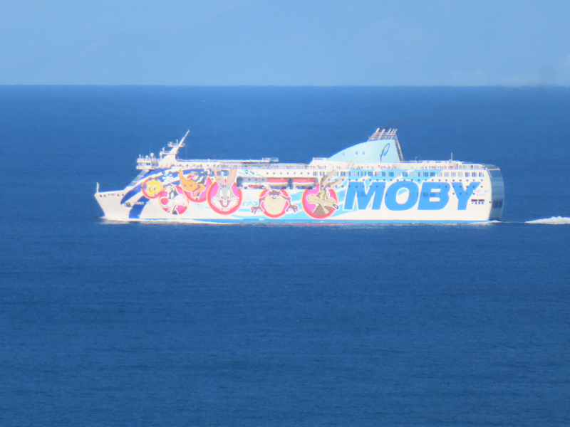 Moby Aki