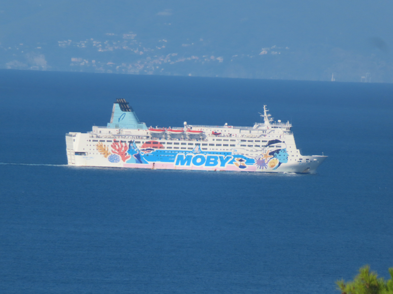 Moby Orli
