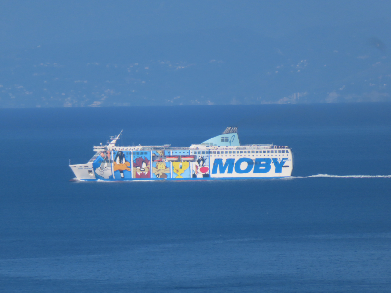 Moby Wonder