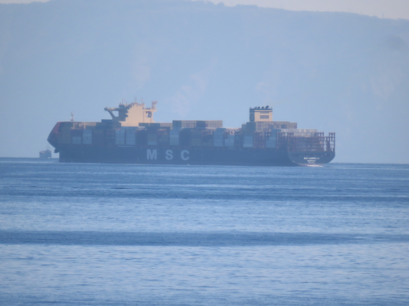 Msc Gabriella