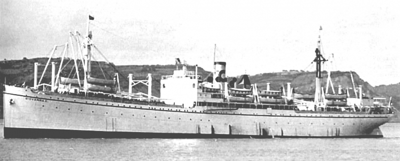 Giovanna C.