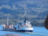 Mercator