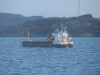Sula