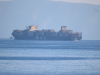 Msc Gabriella