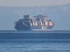 Msc Gabriella