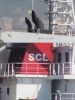 SCL NICOLE SHIPPING LTD