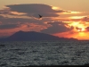 Ischia vista da Ventotene