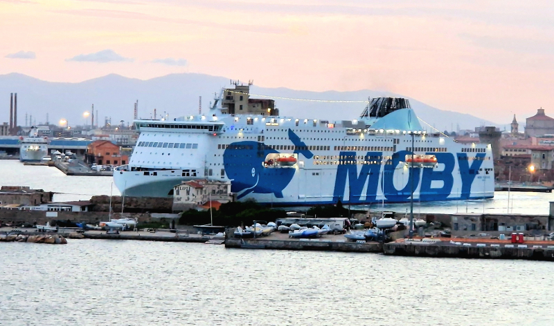 Moby Fantasy