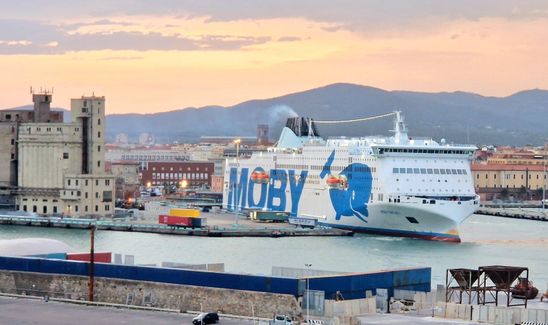Moby Fantasy