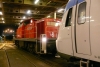 X 60 train (Alstom) MECKLENBURG-VORPOMMERN (4)