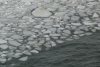 Ice in Rostock