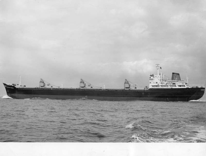 TRANSOCEANICA FRANCESCA