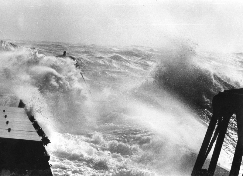 TRANSOCEANICA FRANCESCA