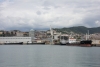 Bettoline del porto di Genova