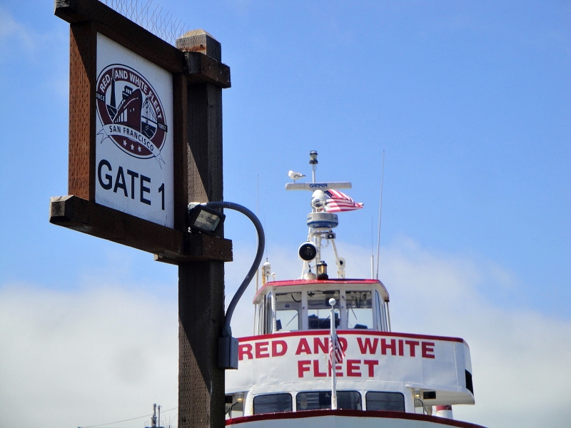 Red and White Fleet Terminal