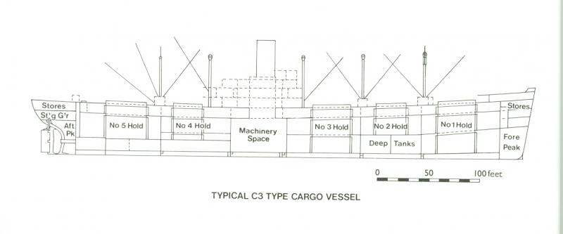 Cargo tipo C3