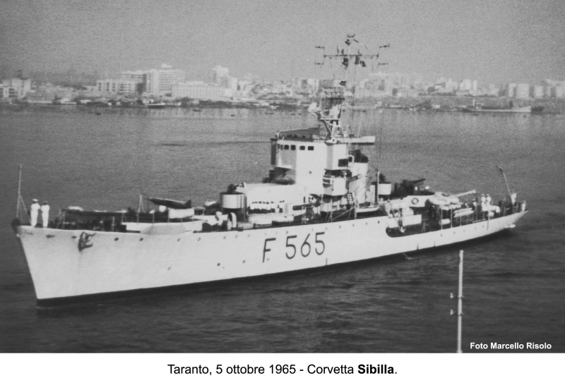 Sibilla F 565