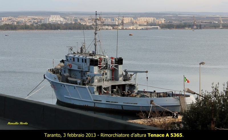 Tenace A 5365