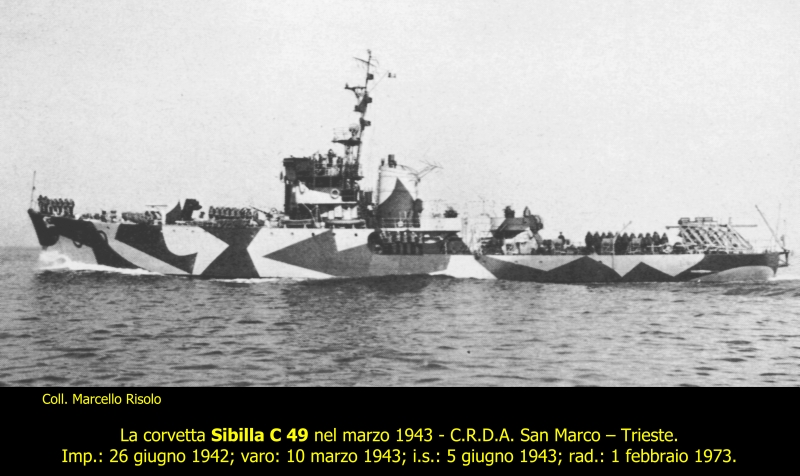 Sibilla C 49