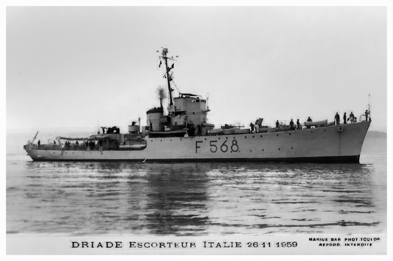 Driade F 568