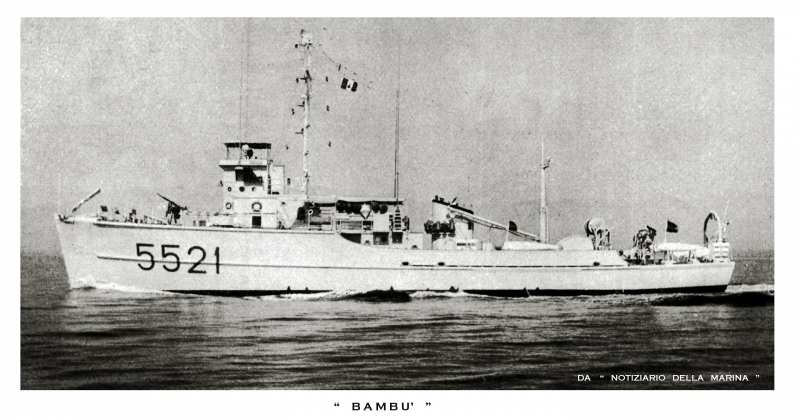 BAMBU' 5521