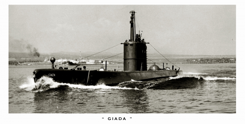 GIADA 501