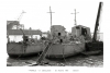 HMS  M 2491