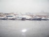 Panoramica Della Flotta Lauro