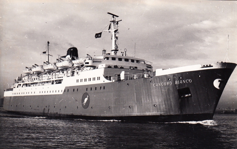 CANGURO BIANCO