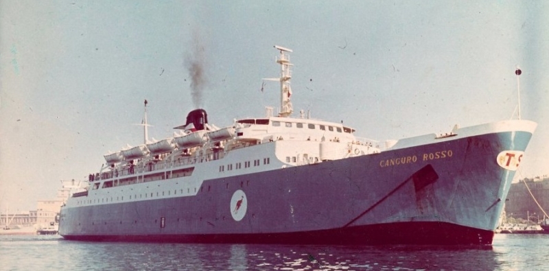 CANGURO ROSSO