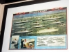 Cunard Line Fleet