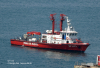VF 1173