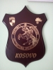 M.S.U. kosovo