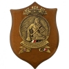 Crest Guardia Costiera C.P. 6° Squadriglia