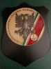 Crest 1° Squadriglia G.C. Albania